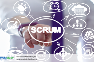 Scrum in Programs and Portfolios